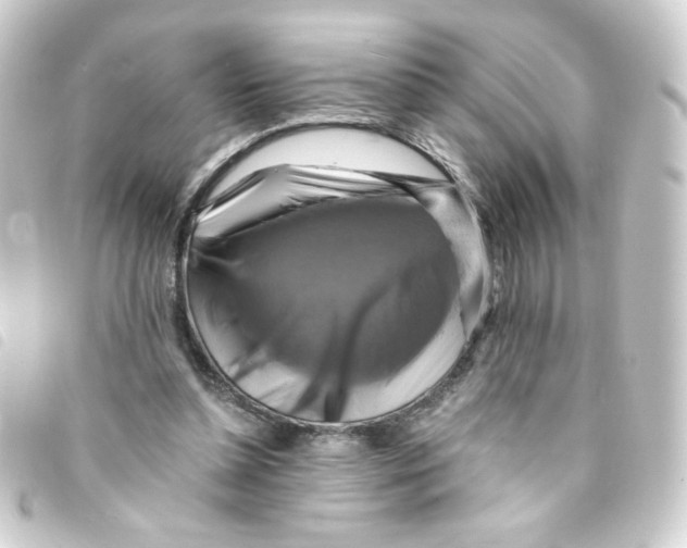 X0000093240348200710241300