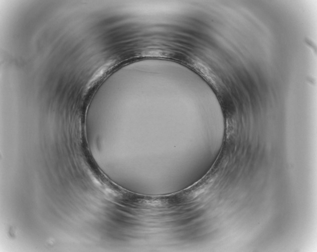 X0000093240349200710241300