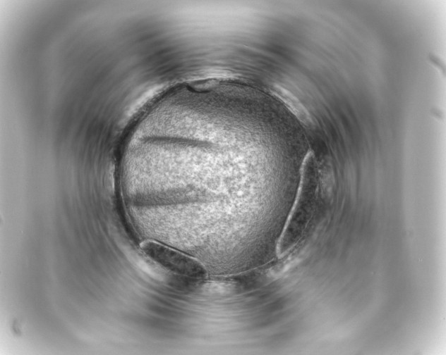 X0000093240350200710241300