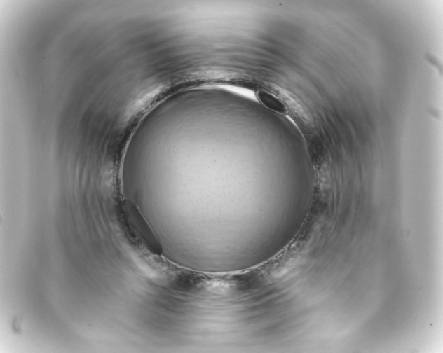 X0000093240352200710241300