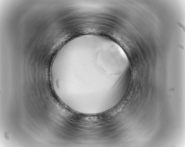 X0000093240353200710241300