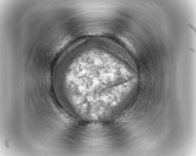 X0000093240354200710241300