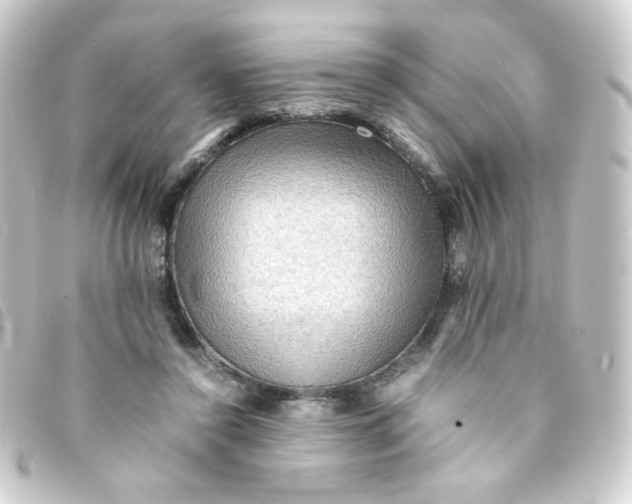 X0000093240356200710241300