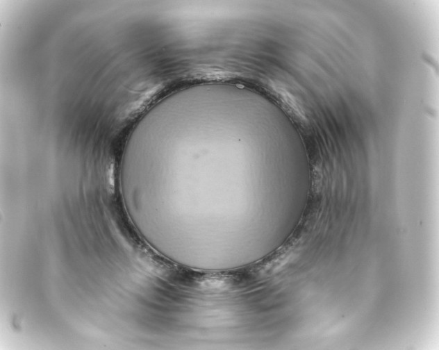 X0000093240358200710241300