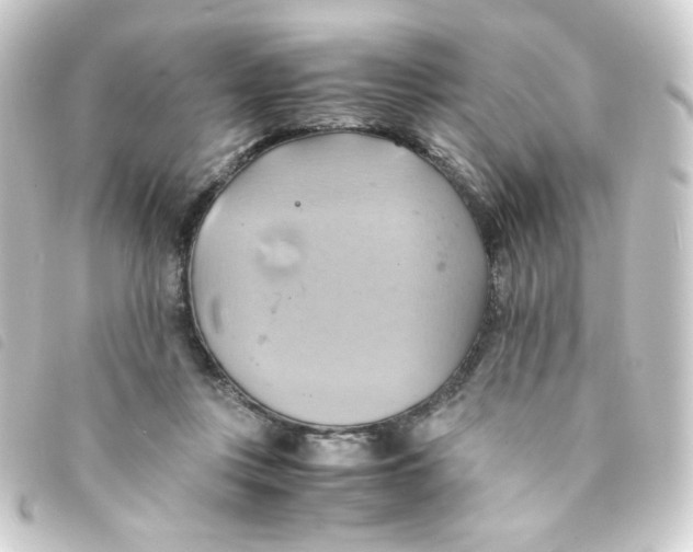 X0000093240359200710241300