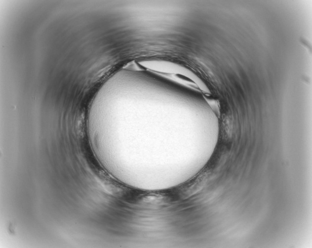 X0000093240364200710241300