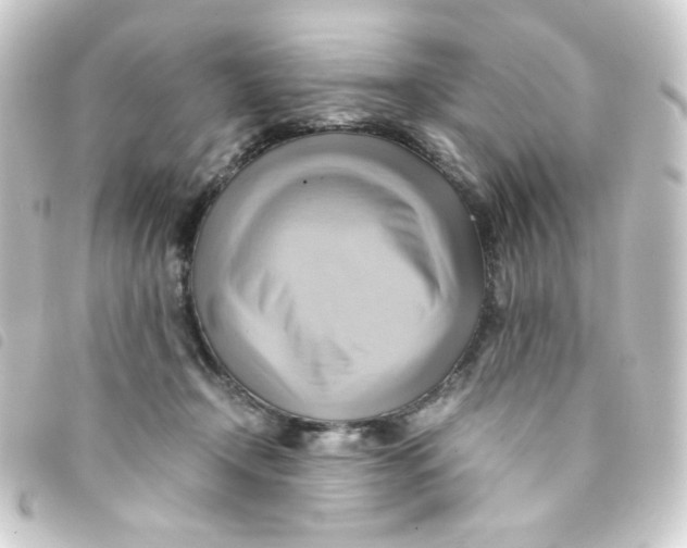 X0000093240366200710241300