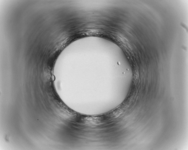 X0000093240367200710241300