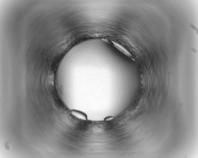 X0000093240368200710241300