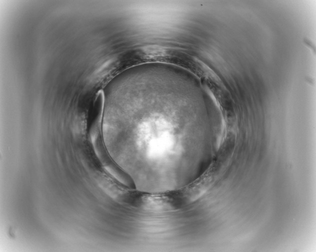 X0000093240372200710241300