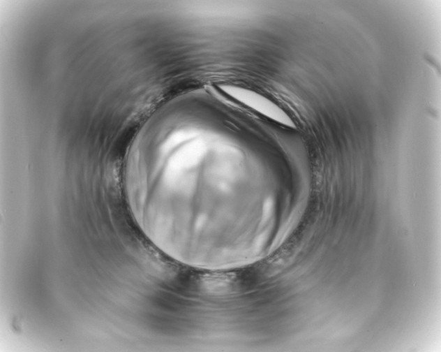 X0000093240373200710241300