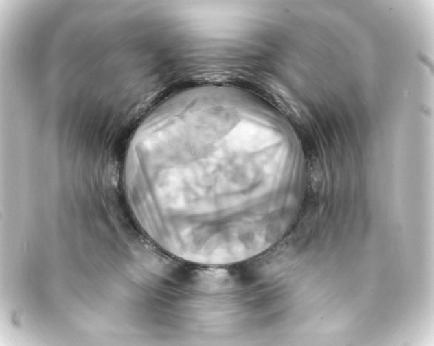 X0000093240374200710241300