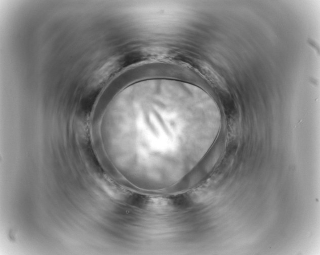 X0000093240376200710241300