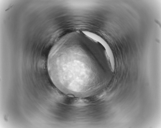 X0000093240379200710241300