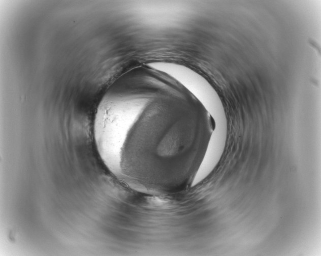 X0000093240380200710241300