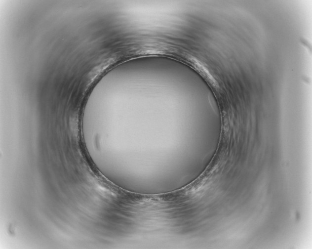 X0000093240386200710241259