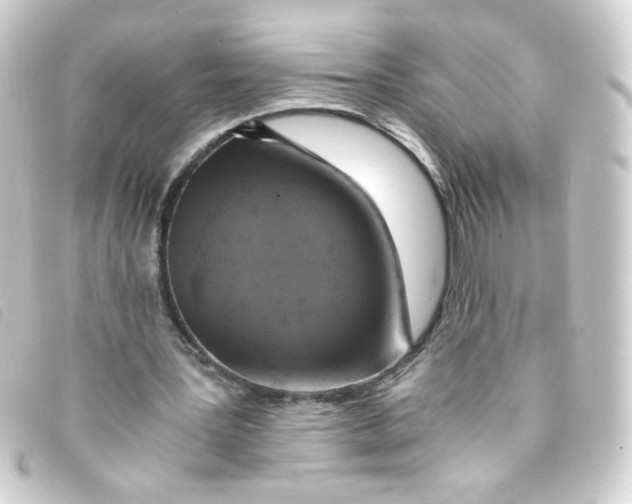 X0000093240387200710241259