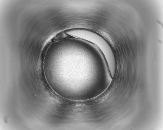 X0000093240388200710241259