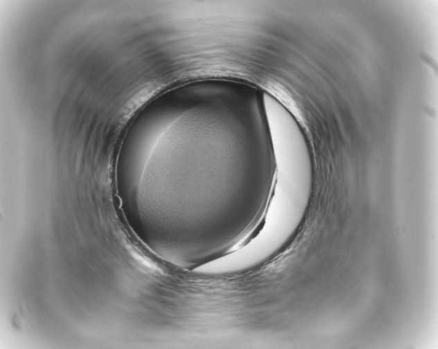 X0000093240389200710241259