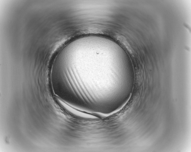 X0000093240395200710241259