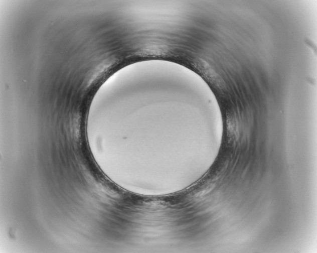 X0000093240396200710241259