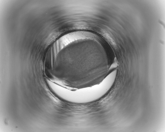 X0000093240397200710241259