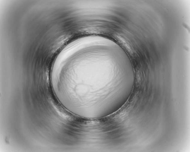 X0000093240398200710241259