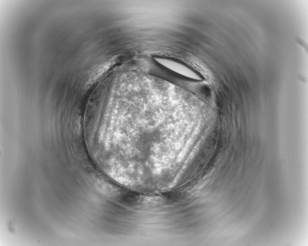 X0000093240401200710241259