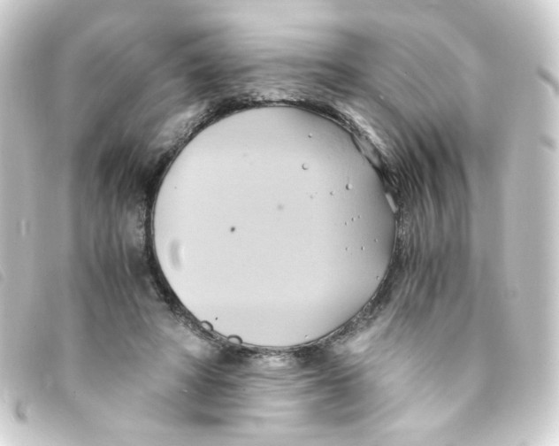 X0000093240402200710241259