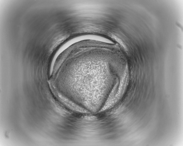 X0000093240403200710241259