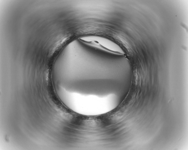 X0000093240404200710241259