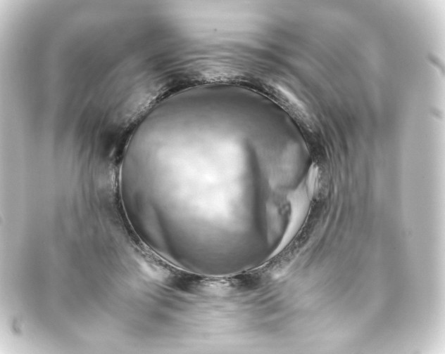 X0000093240405200710241259