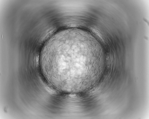 X0000093240406200710241259