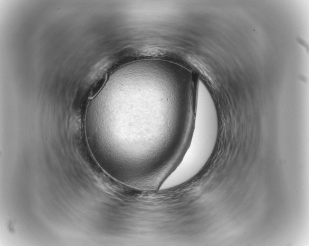 X0000093240407200710241259