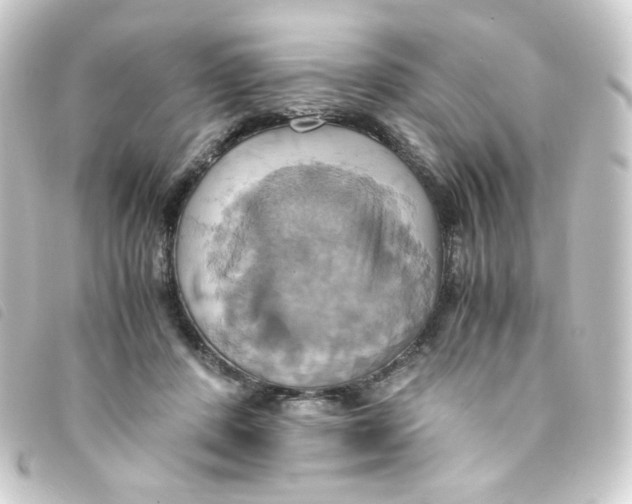 X0000093240408200710241259