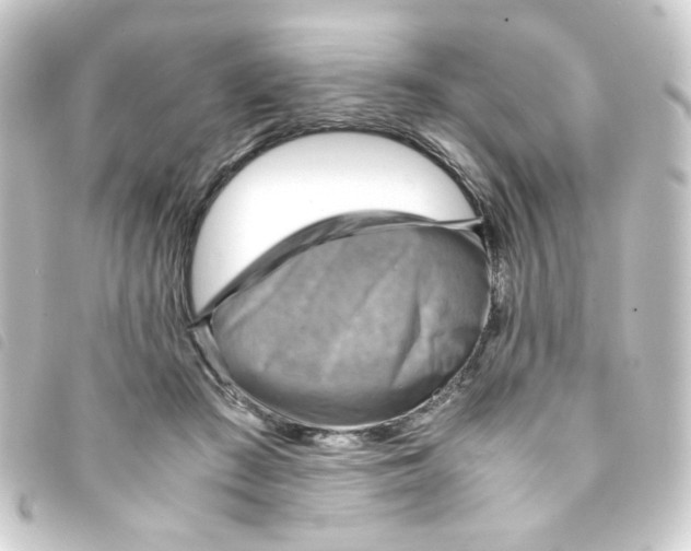 X0000093240409200710241259