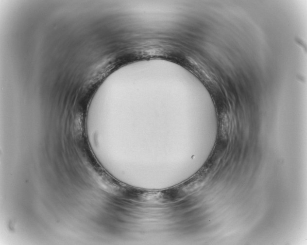 X0000093240410200710241259