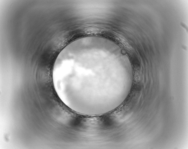 X0000093240411200710241259