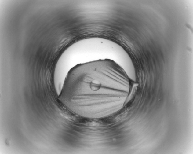 X0000093240412200710241259