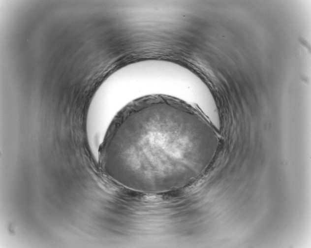 X0000093240413200710241259