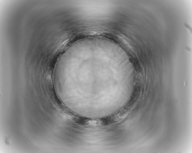 X0000093240415200710241259