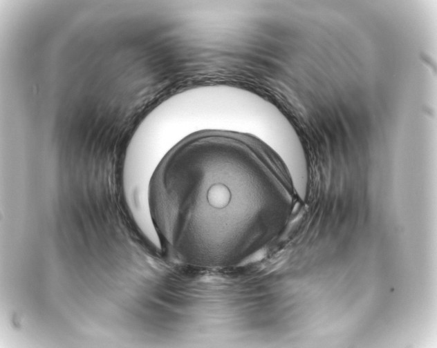 X0000093240416200710241259