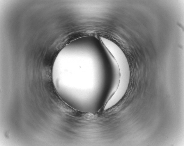 X0000093240421200710241259