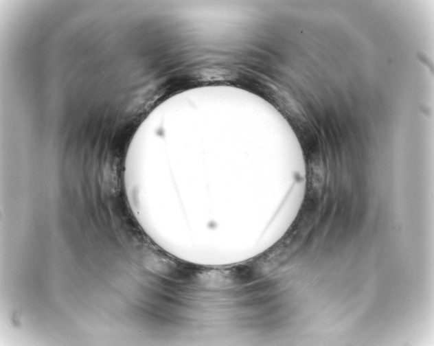 X0000093240422200710241259