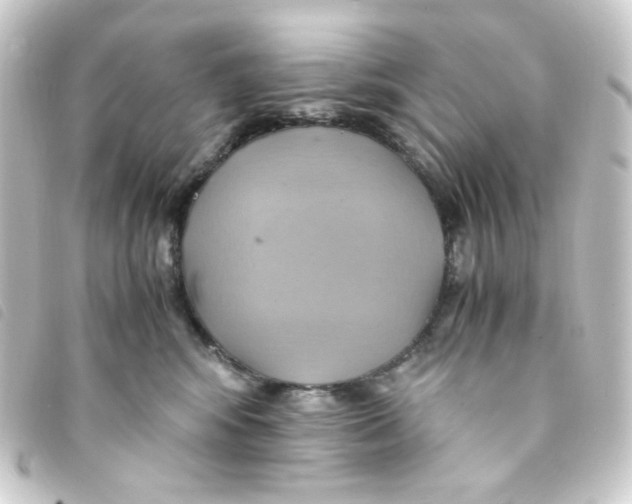 X0000093240424200710241259