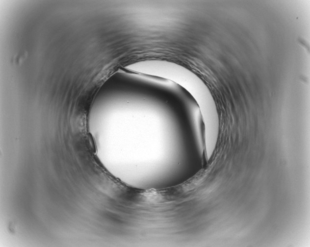 X0000093240425200710241259