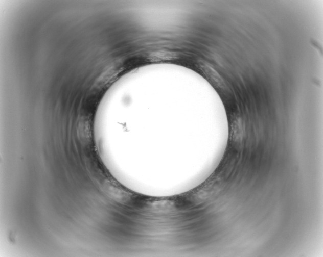 X0000093240426200710241259