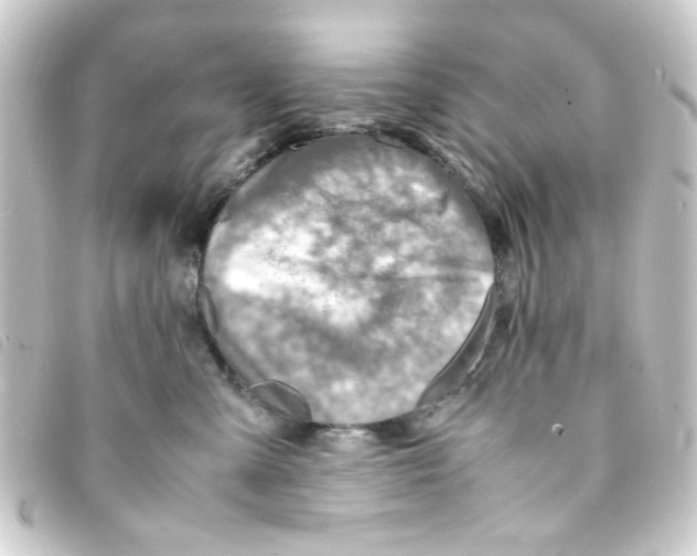 X0000093240427200710241259