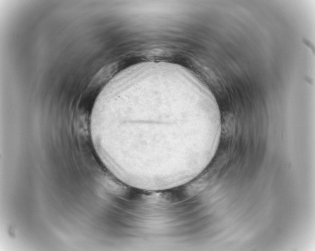 X0000093240430200710241259