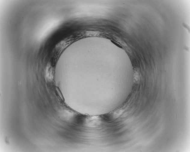 X0000093240431200710241259